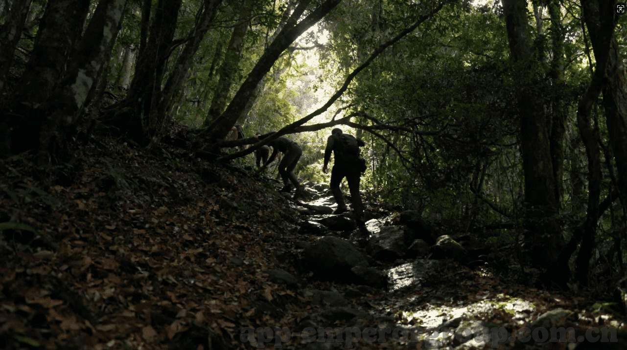 电子烟油pg过敏-电子烟油PG过敏，一种逐渐浮现的健康议题